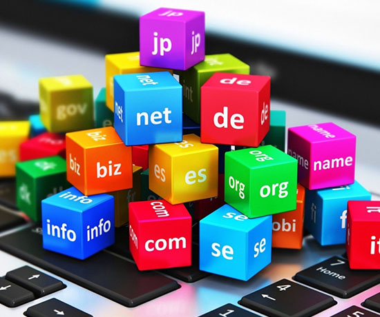 domain name and web hosting services