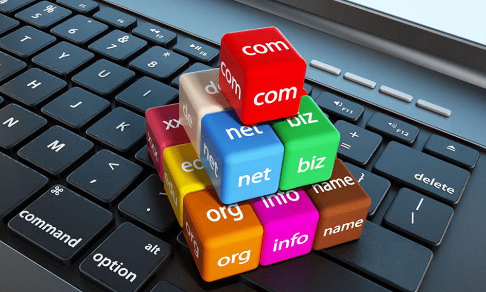 provide domain name and web hosting services